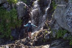 rando2018_20190411_1559855525